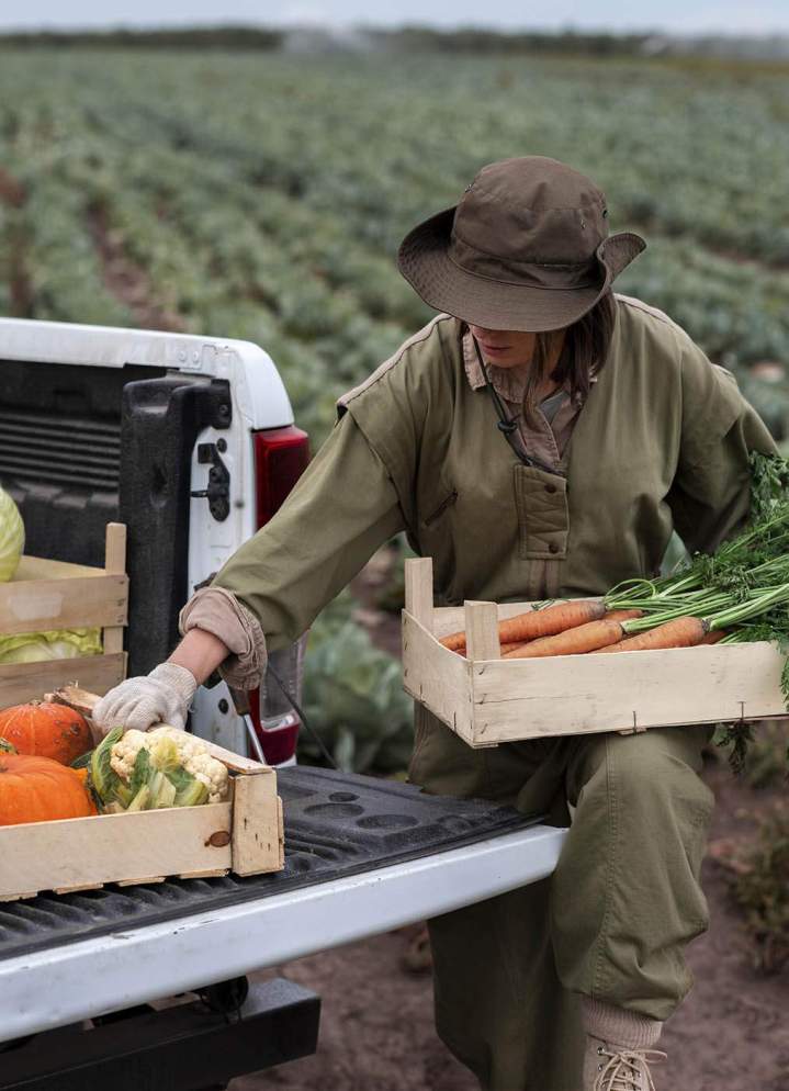 Producteur de légumes Charly-sur-Marne