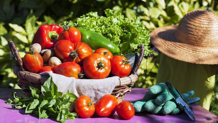 Vente de légumes Charly-sur-Marne
