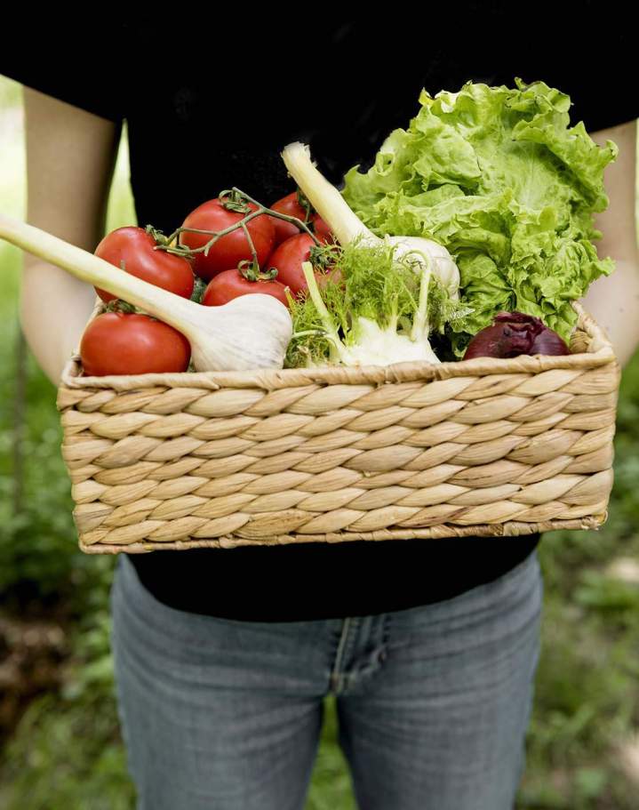 Légumes de saison à vendre Charly-sur-Marne